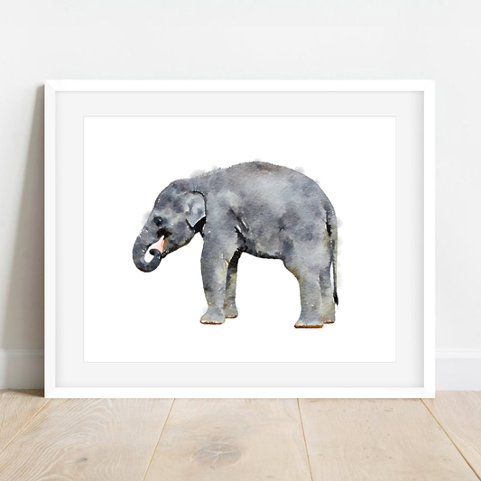 Baby Elephant Art Print Framed