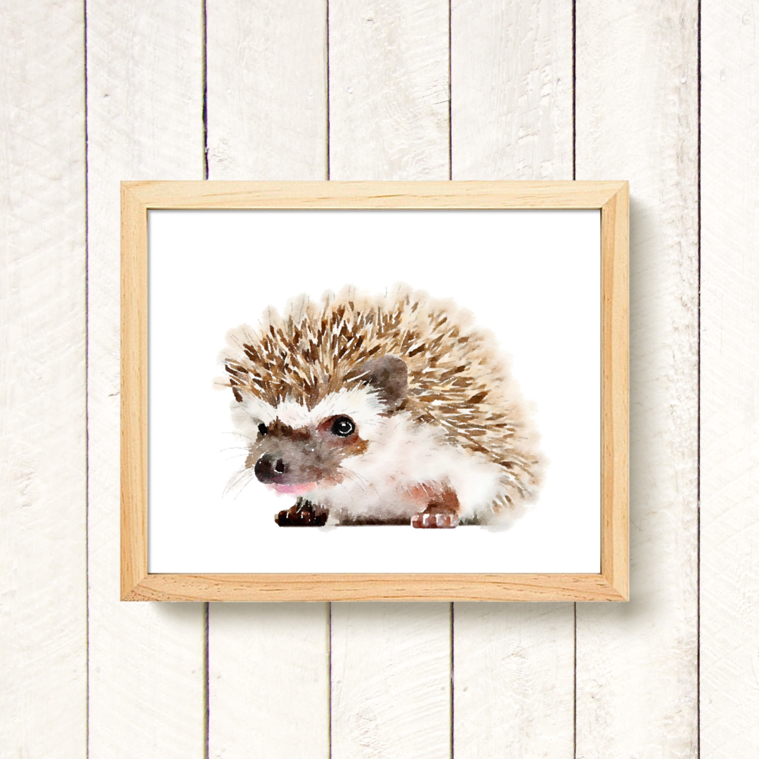 andrew the hedgehog